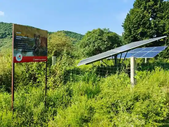 Supporting Ecological and Wildlife Conservation in Forests