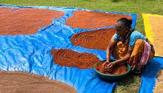 Boosting income of LAC farmers