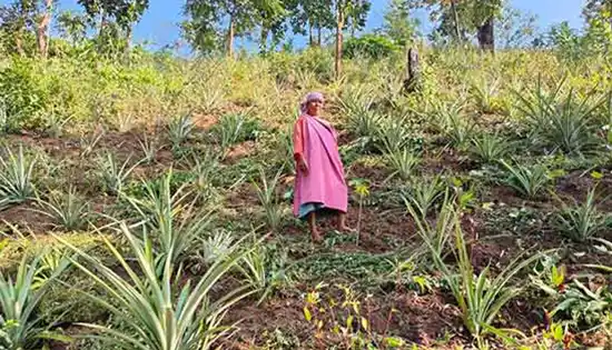 Boosting income of LAC farmers