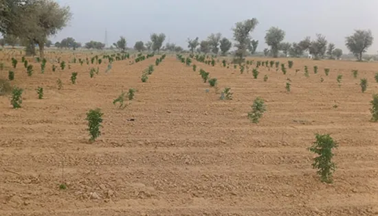 Creating Water harvesting potential